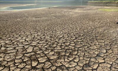 Efek buruk perubahan iklim