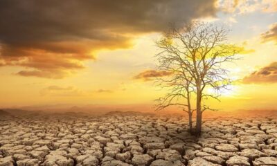 menghindari efek gelombang panas