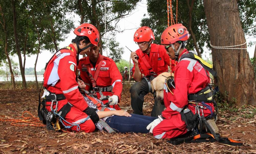 IDERU Rapid Response