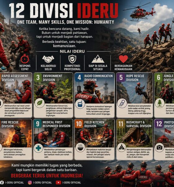 12 Divisi IDERU